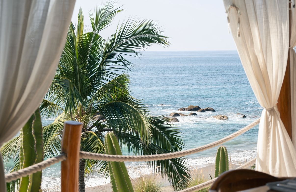 Ocean view through palm trees, Mexico